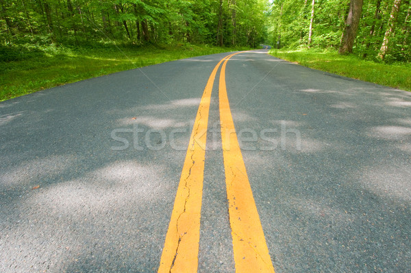 Estrada rural belo cênico curvas enfumaçado Foto stock © tmainiero