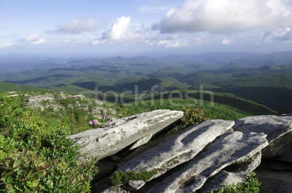 Kék gyönyörű kilátás néz ki Észak-Karolina Stock fotó © tmainiero