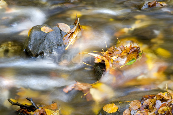 Waterfall Detail Stock photo © tmainiero