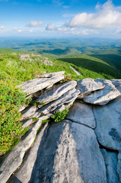 Niebieski piękna widoku patrząc na zewnątrz North Carolina Zdjęcia stock © tmainiero