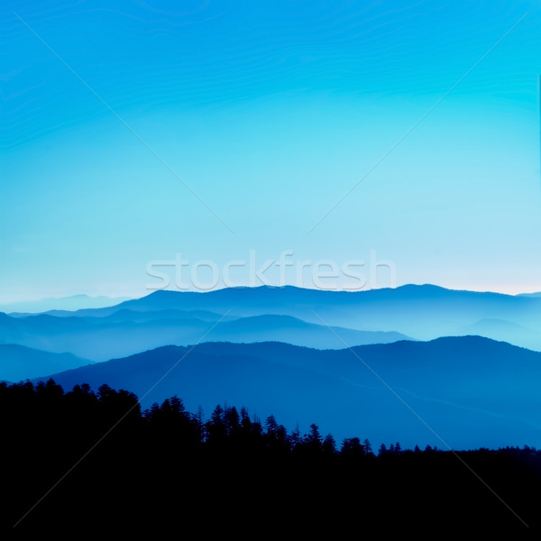Kék gyönyörű kilátás lefelé néz Észak-Karolina USA Stock fotó © tmainiero