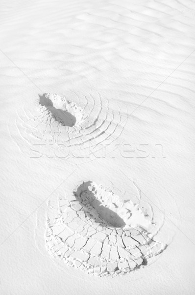 Footsteps in Sand Stock photo © tmainiero
