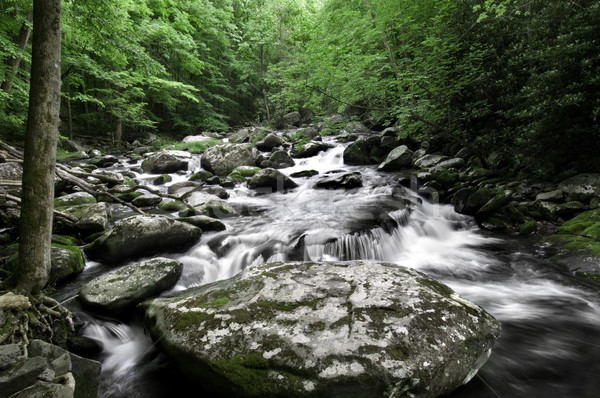 Smoky Mountain Waterfall Stock photo © tmainiero