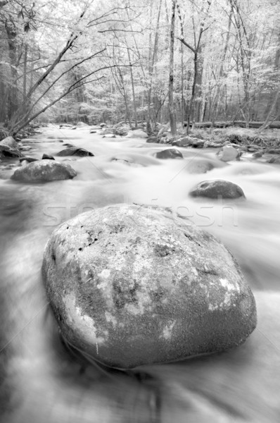 Berg Stream wenig Fluss groß rauchig Stock foto © tmainiero