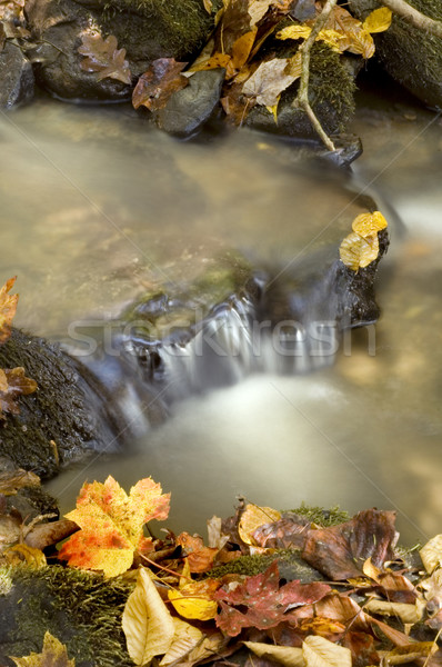 Autumn Waterfall Stock photo © tmainiero