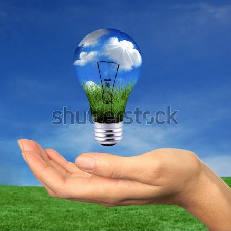 Green Energy With Clouds and Grass Globe  Stock photo © tobkatrina