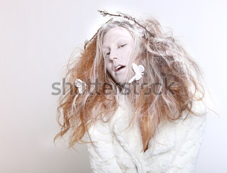 Concept of a Woman in Elaborate Make up and Hair Stock photo © tobkatrina