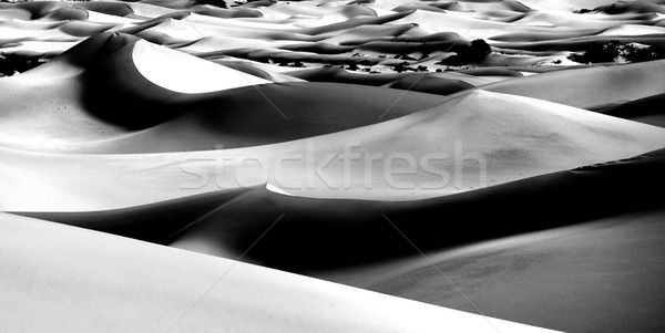 Beautiful Sand Dune Formations in Death Valley California Stock photo © tobkatrina