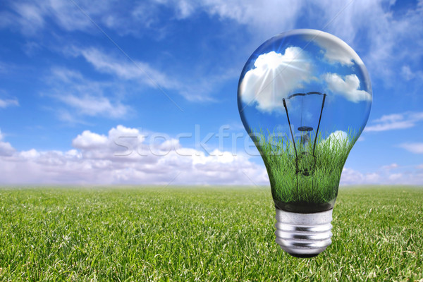 Bulb in Natural Landscape Stock photo © tobkatrina