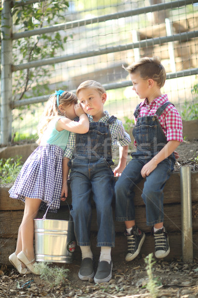 Kids Working on the Farm  With a Pail Stock photo © tobkatrina