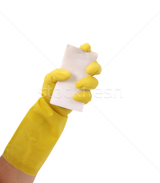 Latex kesztyű takarítás tart koszos szivacs Stock fotó © tobkatrina