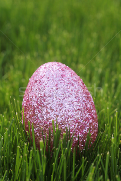 Colorido huevos de Pascua naturaleza muerta la luz natural flores naturaleza Foto stock © tobkatrina