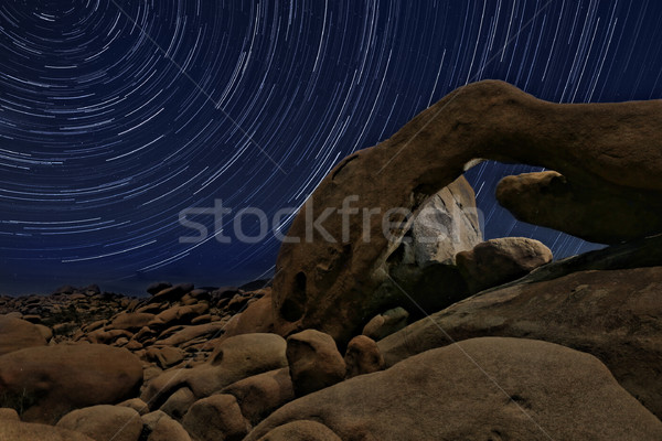 Night Star Trail Streaks over the Rocks of Joshua Tree Park Stock photo © tobkatrina