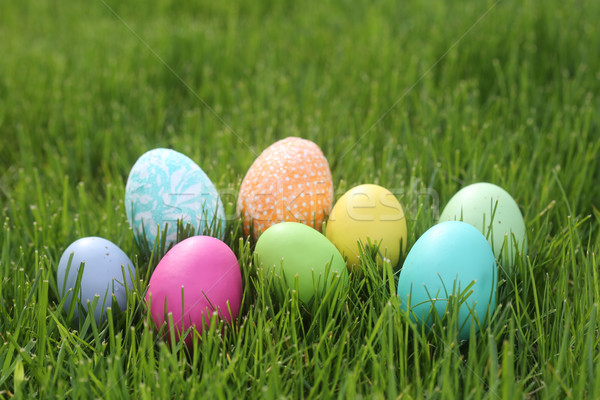 Foto d'archivio: Colorato · easter · eggs · ancora · vita · la · luce · naturale · fiori · natura