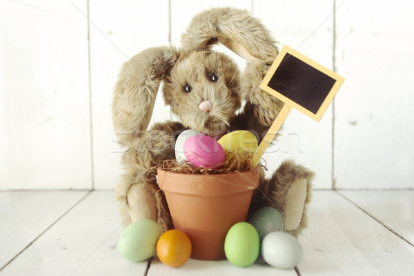 Easter Bunny Themed Holiday Occasion Image Stock photo © tobkatrina