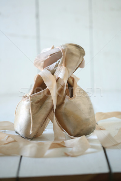 Posed Pointe Shoes in Natural Light  Stock photo © tobkatrina
