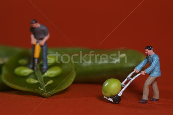 Construction Workers in Conceptual Food Imagery With Snap Peas Stock photo © tobkatrina