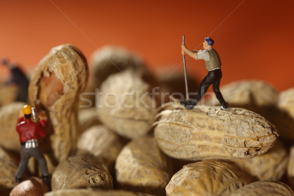 Plastic People Working on Peanuts Stock photo © tobkatrina