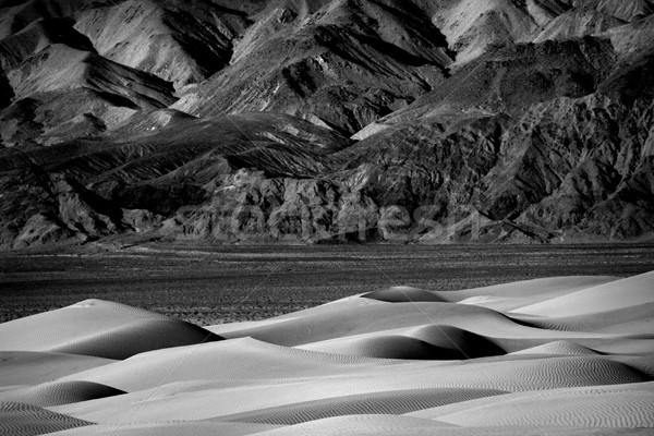 Beautiful Sand Dune Formations in Death Valley California Stock photo © tobkatrina