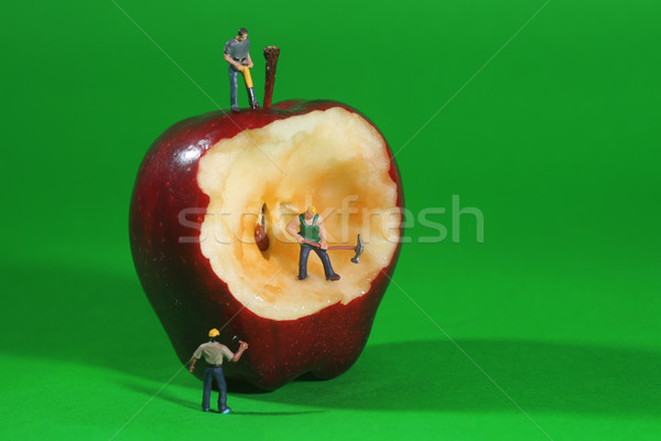 Construction Workers in Conceptual Imagery With an Apple Stock photo © tobkatrina