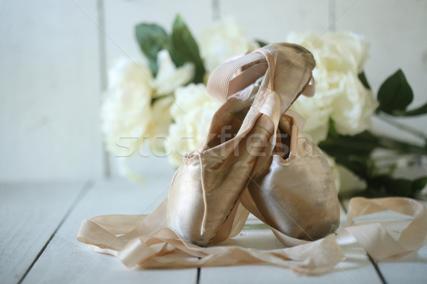 Schoenen natuurlijk licht romantische mode retro vintage Stockfoto © tobkatrina