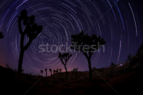 Light Painted Landscape of Stars Stock photo © tobkatrina