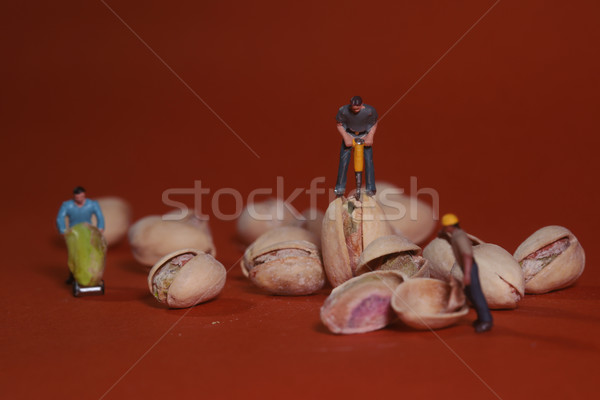 Construction Workers in Conceptual Food Imagery With Pistachio N Stock photo © tobkatrina