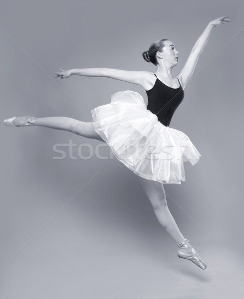 Gyönyörű balett-táncos portré lány nők modell Stock fotó © tobkatrina