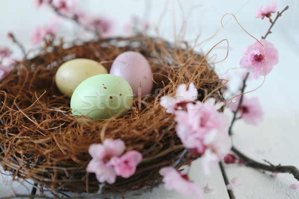 Foto d'archivio: Pasqua · vacanze · ancora · vita · scena · la · luce · naturale · primavera