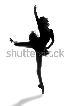 Női ballerina stúdió nő tánc sport Stock fotó © tobkatrina