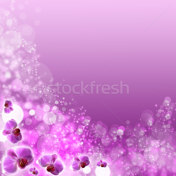 Güzel soyut iyimser arka bokeh çiçek Stok fotoğraf © tolokonov