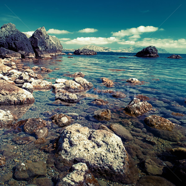 Dzień czasu morza naturalnych krajobraz projektu Zdjęcia stock © tolokonov