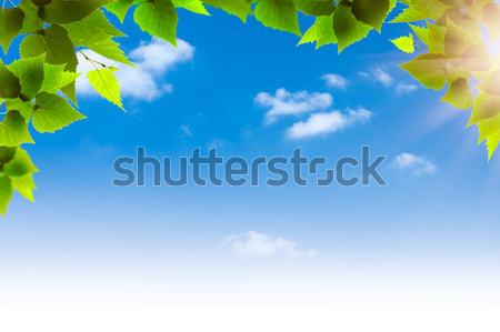 Blue skies. Abstract natural backgrounds for your design Stock photo © tolokonov