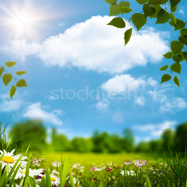 Beauty natural landscape under blue skies and bright sun Stock photo © tolokonov