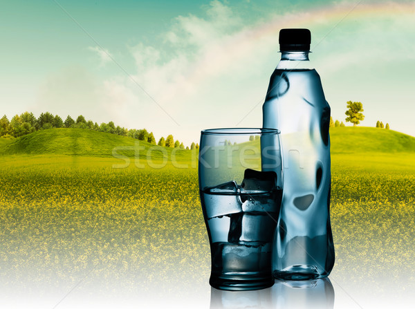 Spring mineral water bottled with glass and ice against natural  Stock photo © tolokonov
