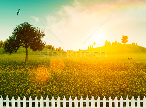 White fence on the meadow. Summer landscape Stock photo © tolokonov