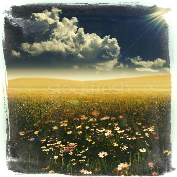 Vízfesték nyár absztrakt koszos tájkép tavasz Stock fotó © tolokonov