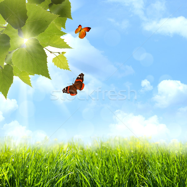 Under the blue skies. Abstract spring and summer backgrounds Stock photo © tolokonov