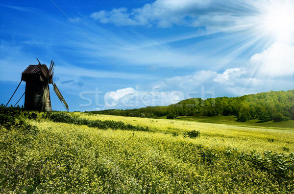 Green hills under the blue summer skies Stock photo © tolokonov