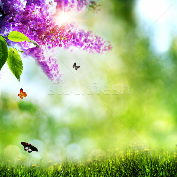 Summer natural backgrounds with lilacs,  butterfly and beautiful Stock photo © tolokonov