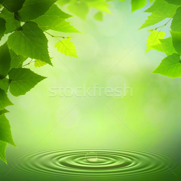 Summer morning. Abstract environmental backgrounds Stock photo © tolokonov