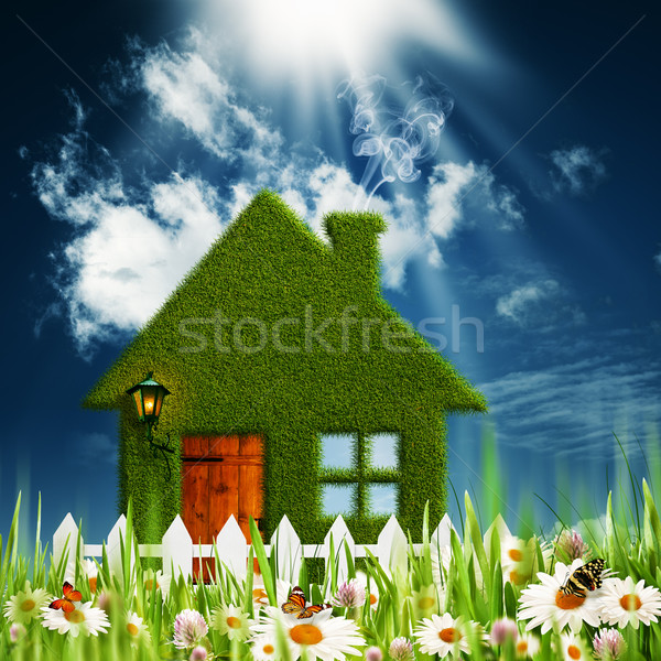 Green House. Environmental backgrounds for your design Stock photo © tolokonov