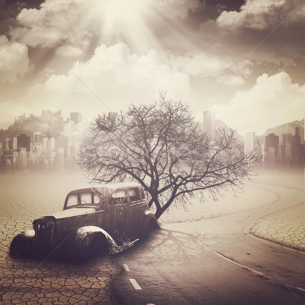 Апокалипсис аннотация фоны дизайна дерево дороги Сток-фото © tolokonov