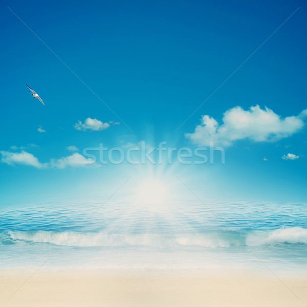 On the ocean. Retro natural backgrounds for your design Stock photo © tolokonov