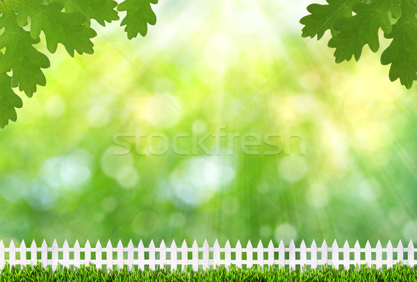 Nice summer day on the farm, abstract summer backgrounds Stock photo © tolokonov