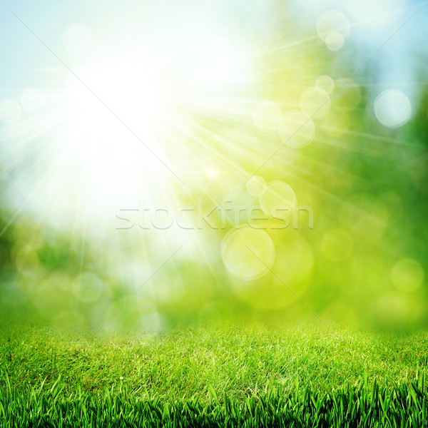 Under the bright sun. Abstract natural backgrounds Stock photo © tolokonov