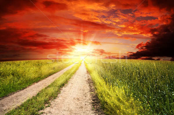 Straight road to heaven, abstract rural landscape Stock photo © tolokonov