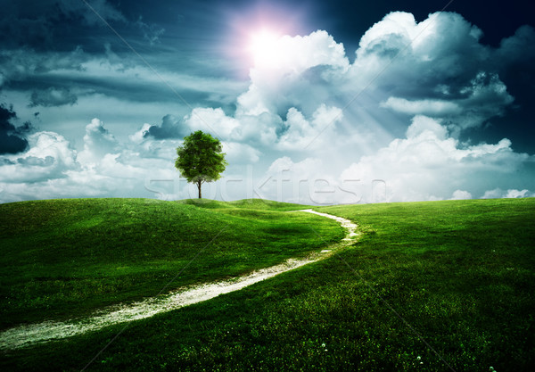 Straight way to the happy future. Abstract natural backgrounds Stock photo © tolokonov