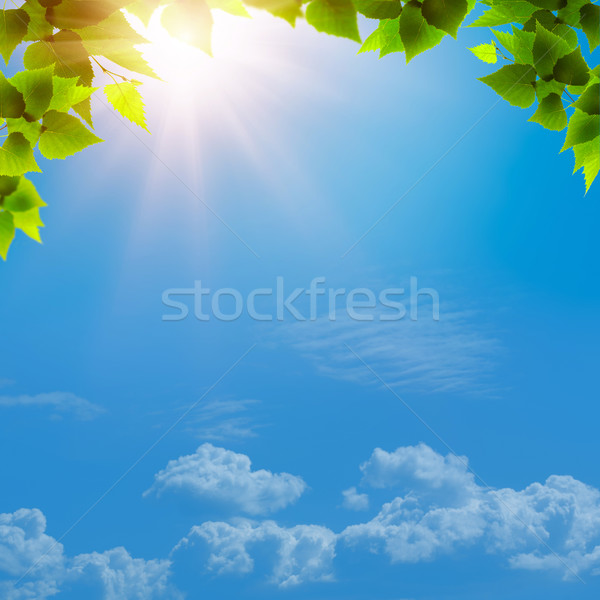 Foto stock: Azul · resumen · naturales · fondos · primavera · jardín