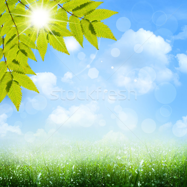 Under the blue skies. Abstract spring and summer backgrounds Stock photo © tolokonov